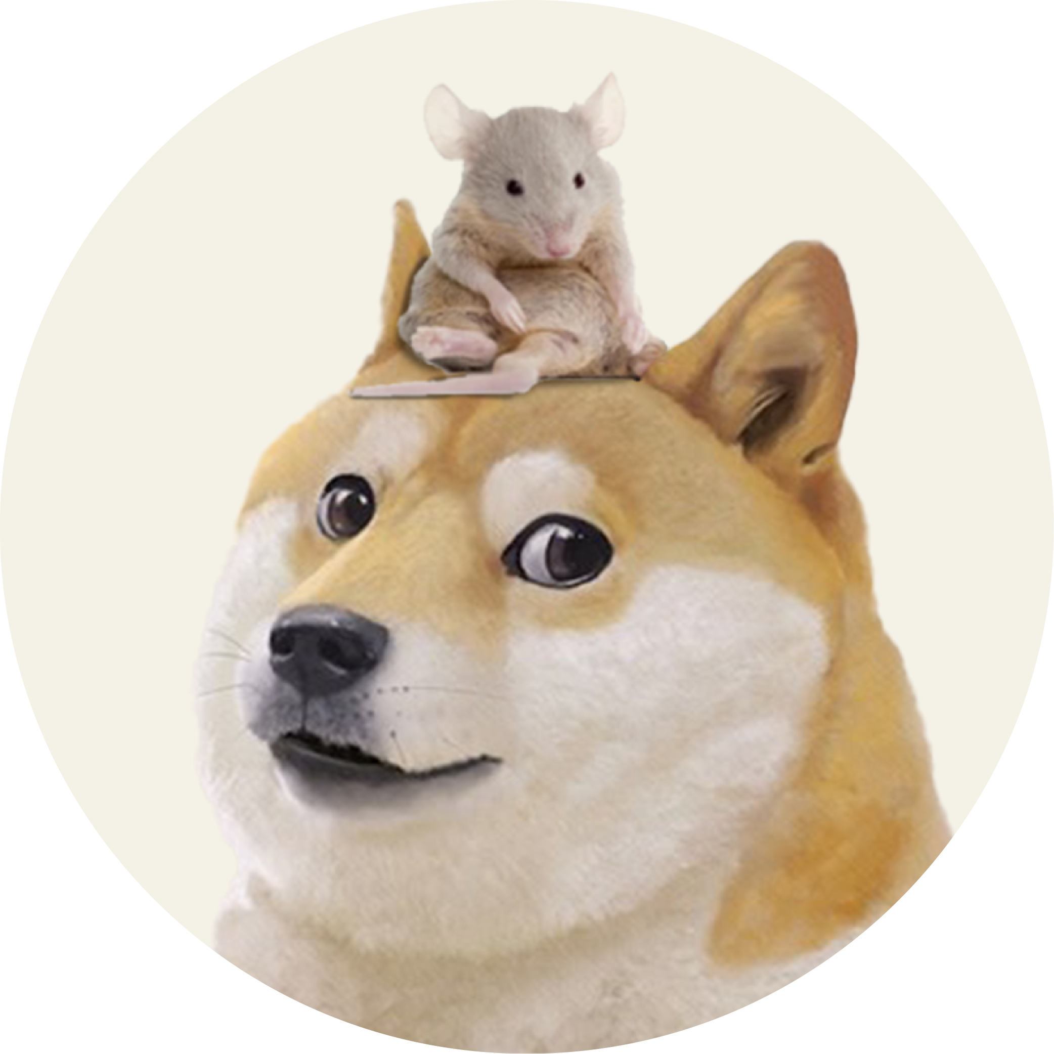 DOGEWIFMOS token logo